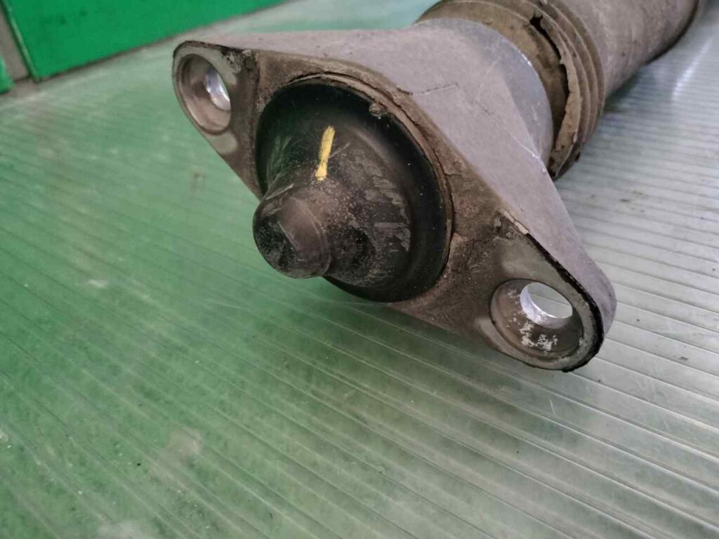 000000135171