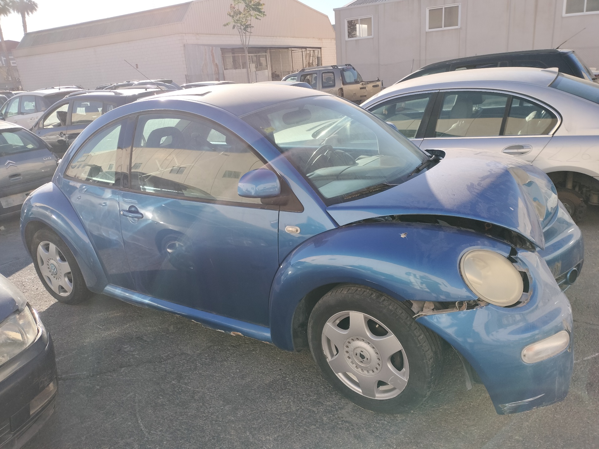 Volkswagen New Beetle Berlina (9C1/1C1)(1999->)